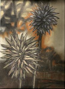 Tekeningen van de natuur in mijn omgeving gemaakt met houtskool met pastelkrijt