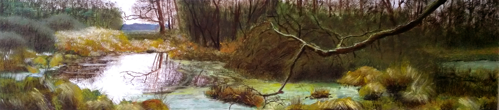 Steile Oever bij Ommen