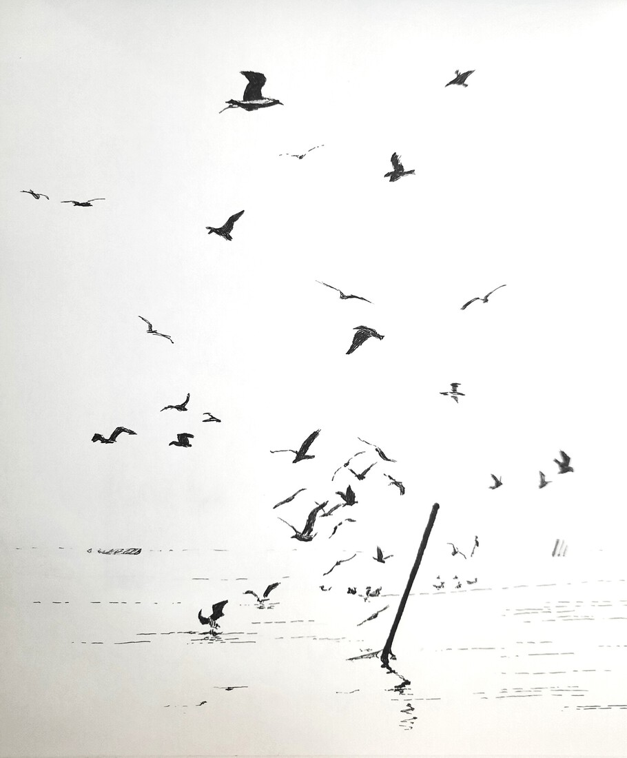 Meeuwen op het Markermeer.