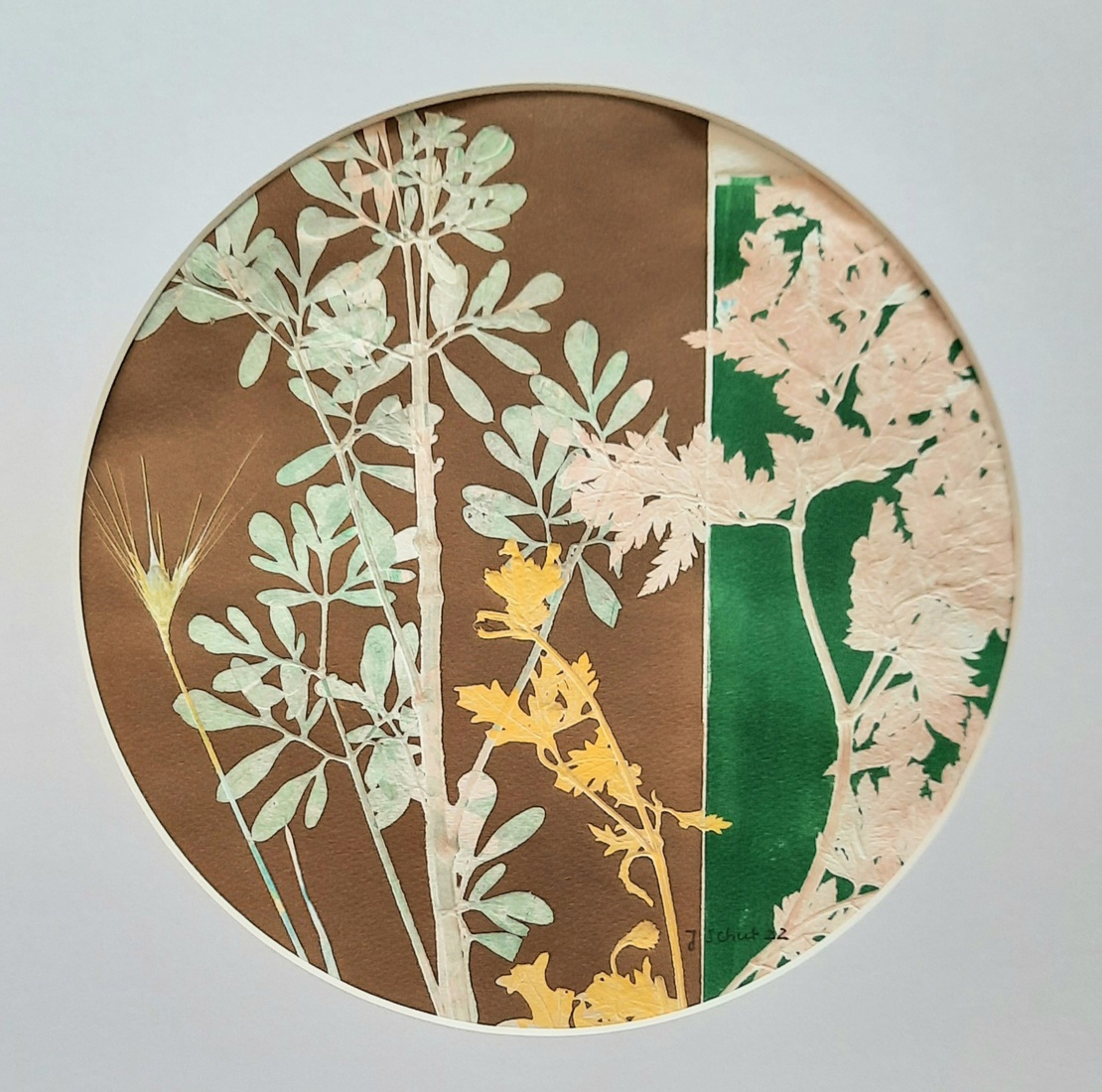 Wijnruit en peterselie