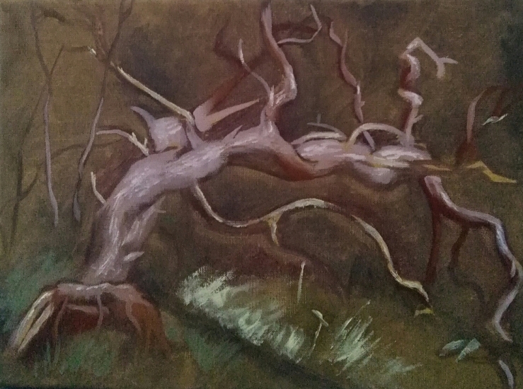 Gebogen dennenboom II