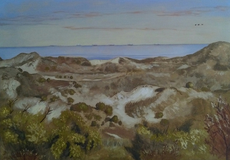 Prinsenduin met Noordzee