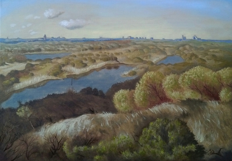 Duinlandschap, vergezicht