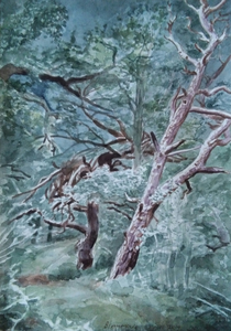 Tekeningen naar het landschap