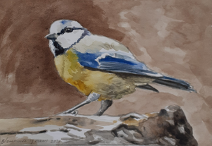 Tekeningen van dieren