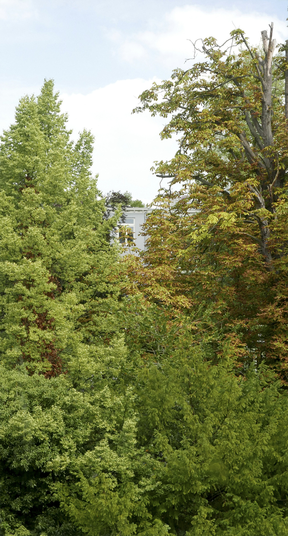 Boymans van Beunigen 1 Rotterdam 406