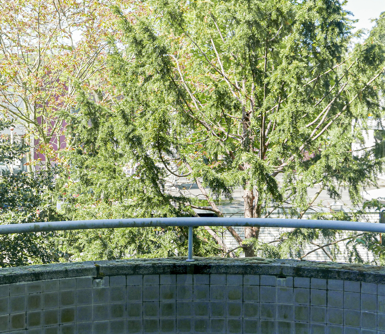 Chabot Museum Rotterdam I