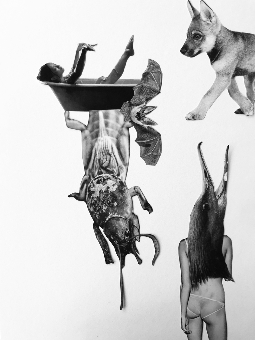 Vervreemding spanning