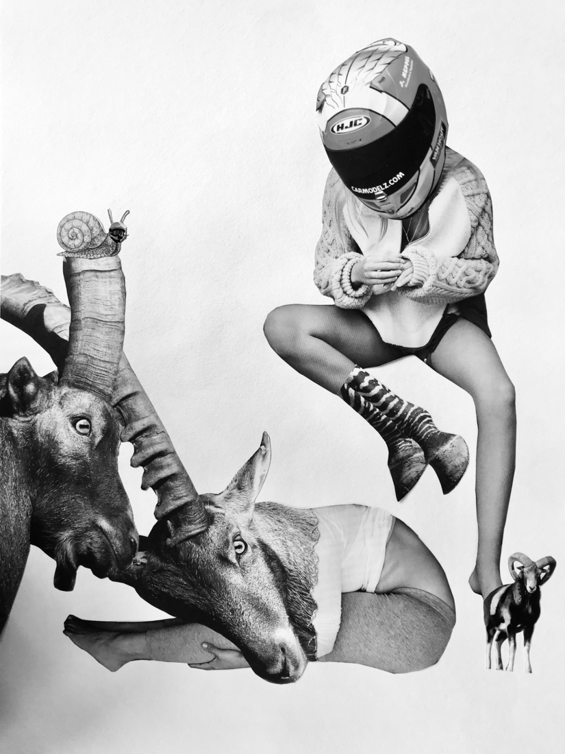 Vervreemding verloren