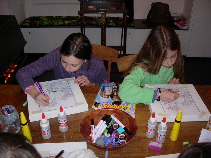 Foto's WS Strip doek