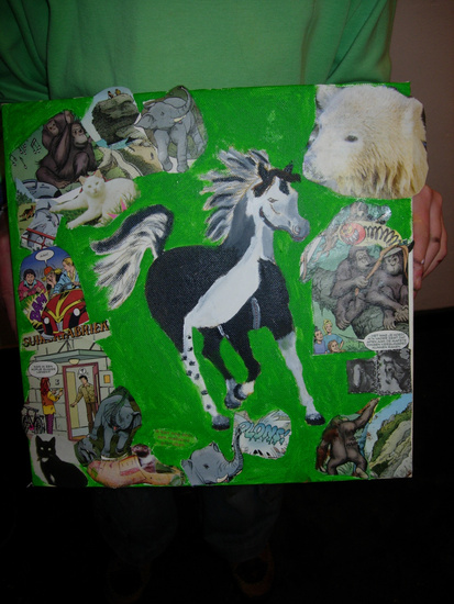 Foto's WS Strip doek