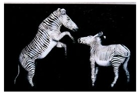 Zo doe je dat (zebra's)