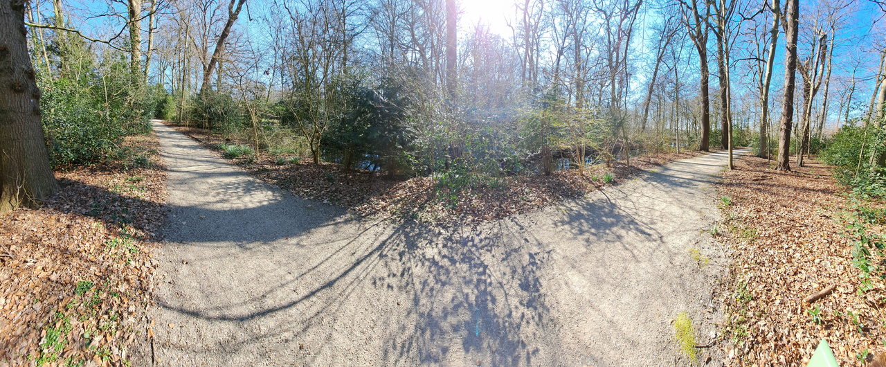 Theo Beerenfenger sr