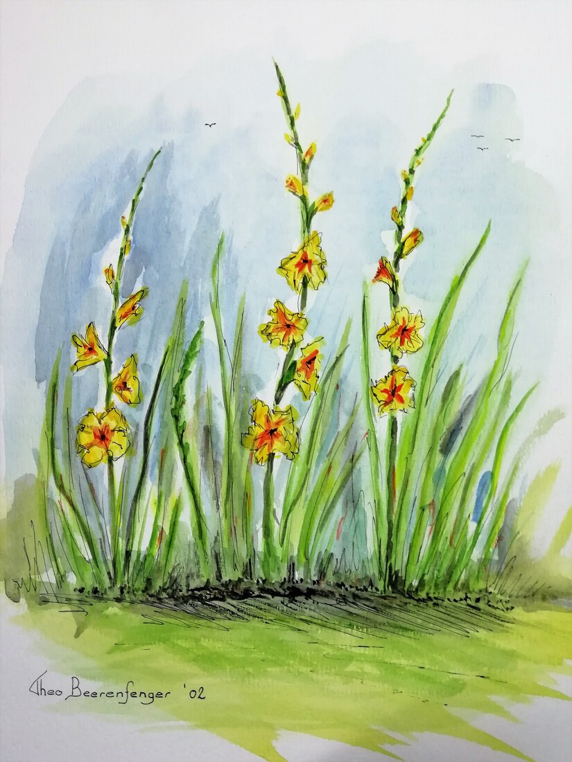 Een mooi rijtje veld lelies