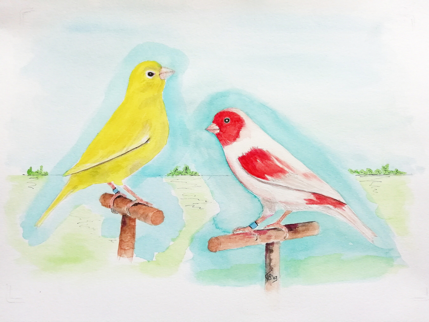 Kleurkanaries, Lipochroom