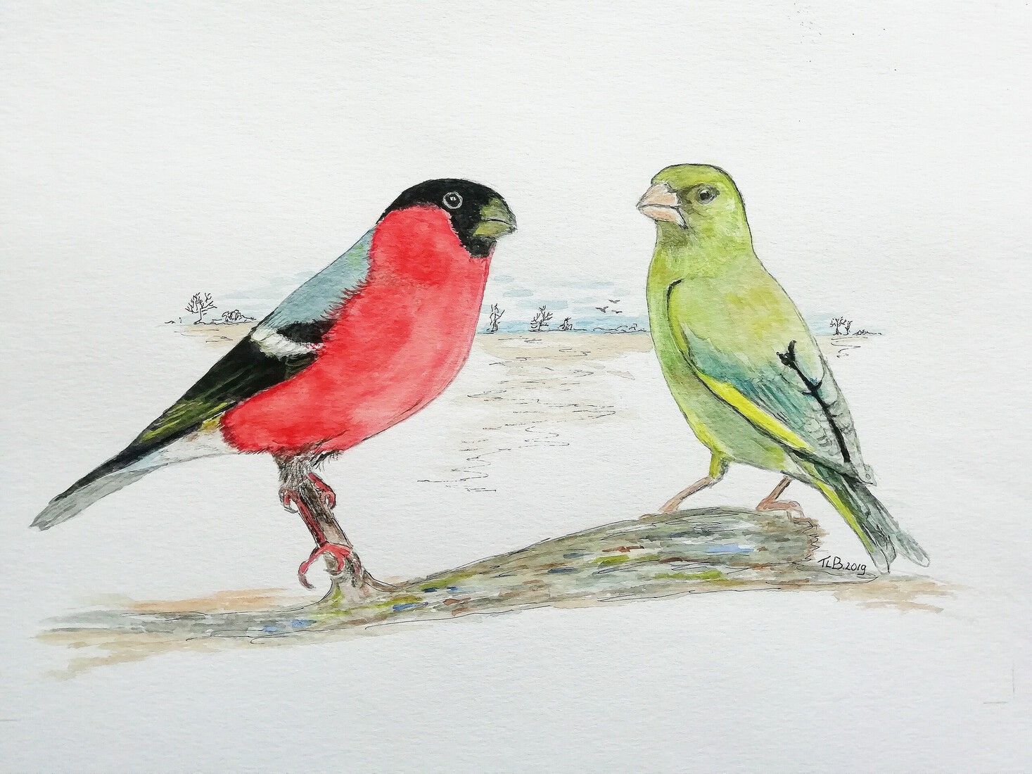 Wildzang, Goudvink, Groenvink (ook wel groenling genoemd)