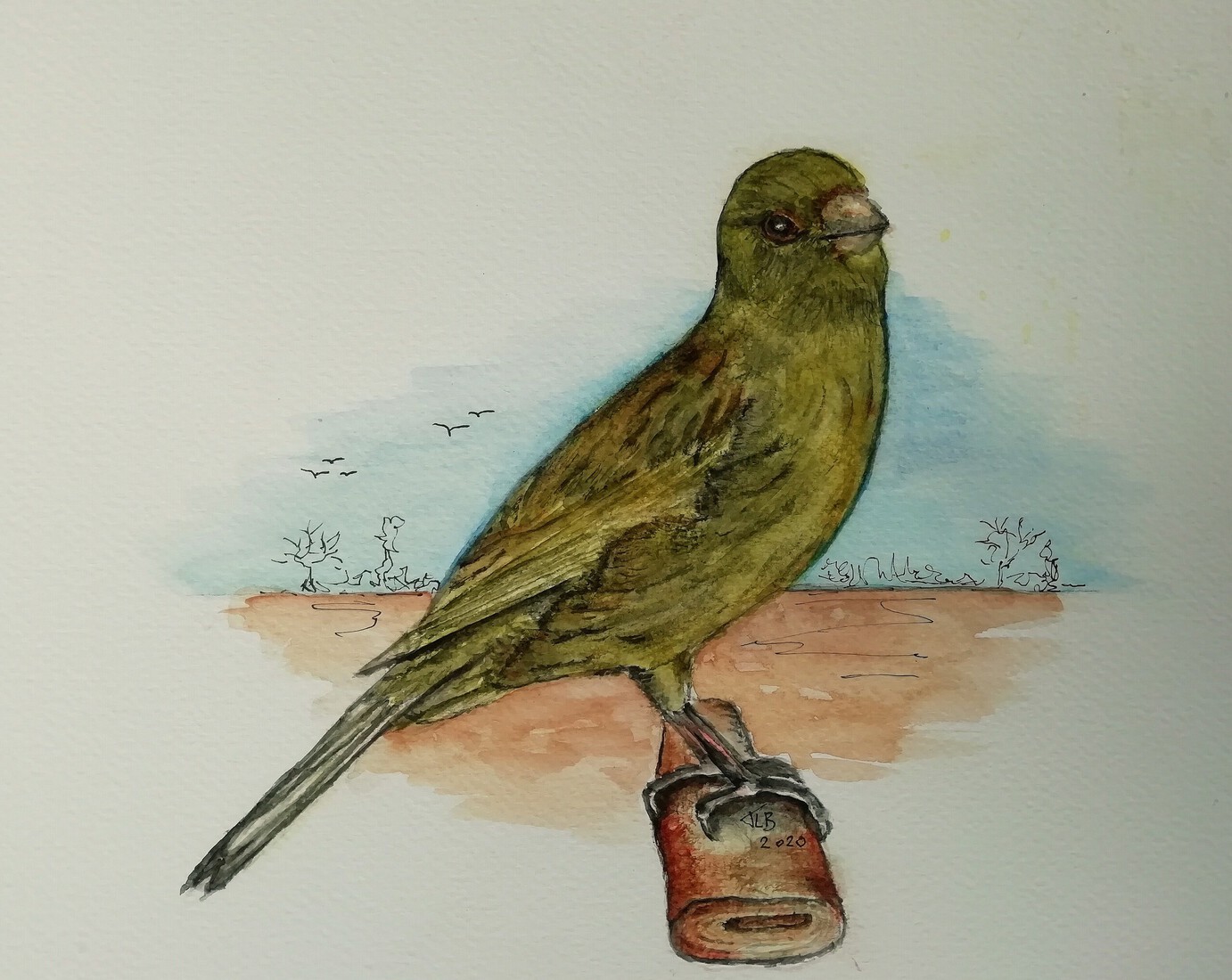 De Zwart met geel kanarie (klassieke kleurkanarie)