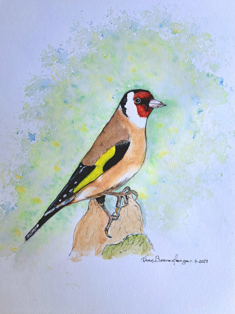 De Putter ofwel de Distelvink (Carduelis carduelis) 