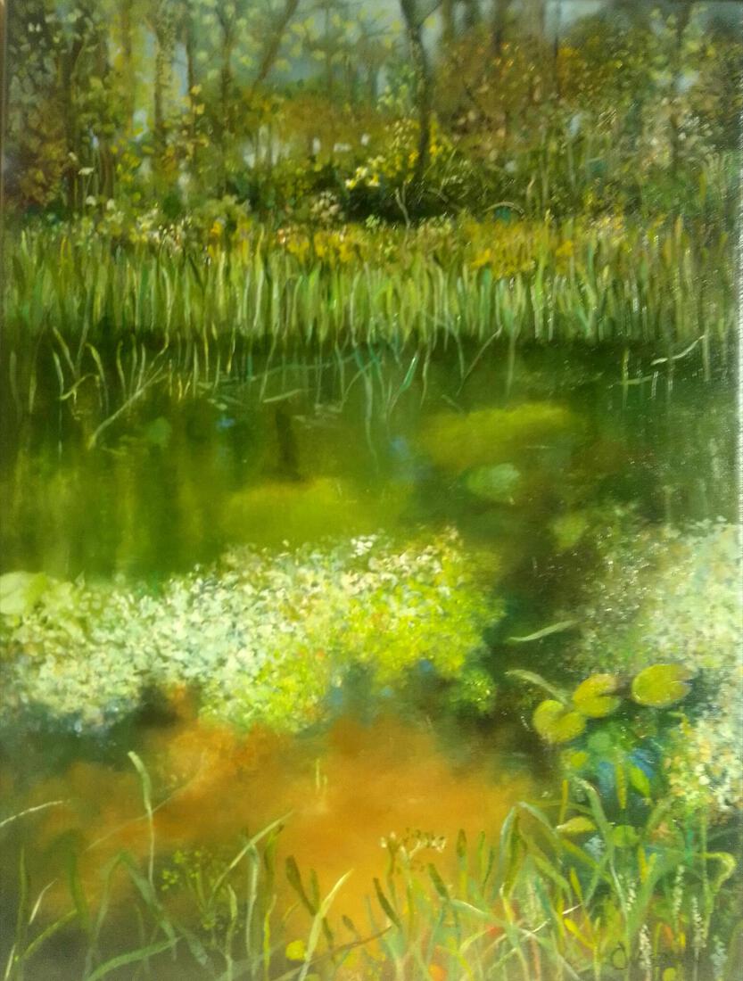 de waterkant aan de Vordense Beek