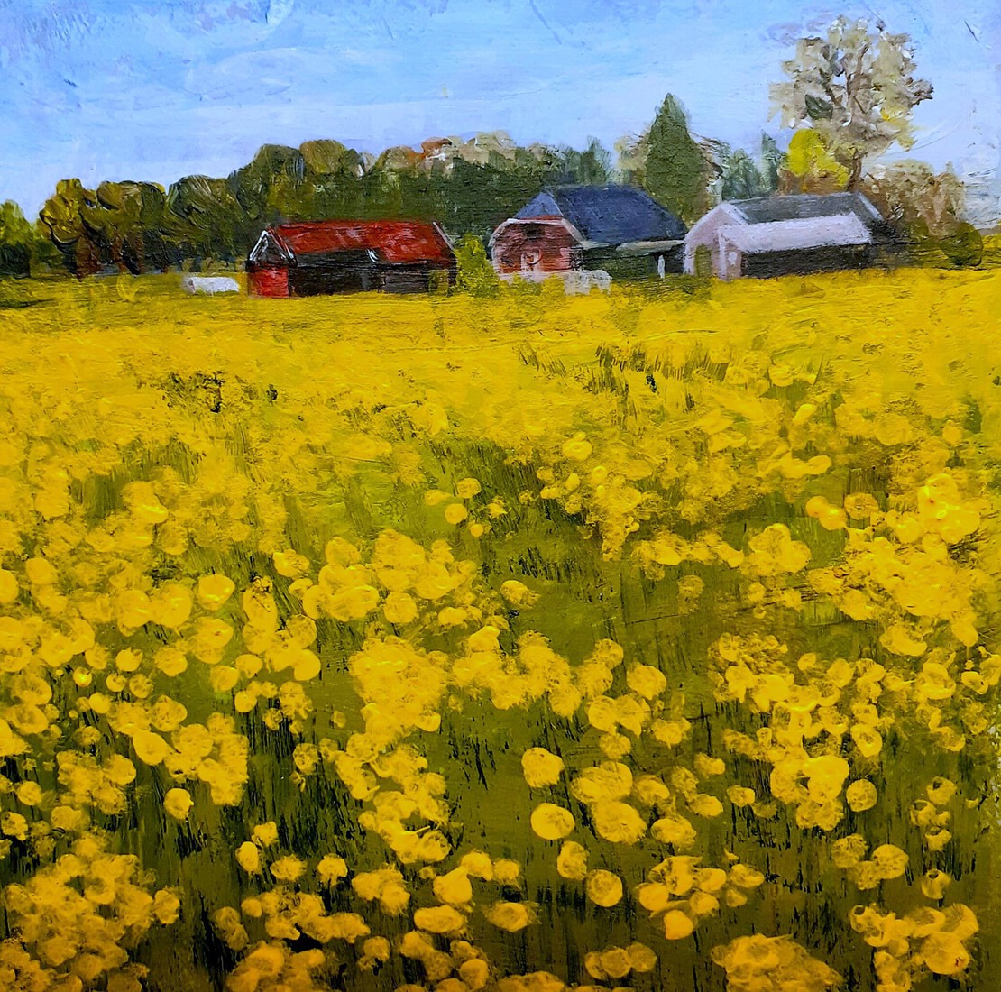 LENTE — een gouden bloemenzee, het land dat weer tot leven komt.