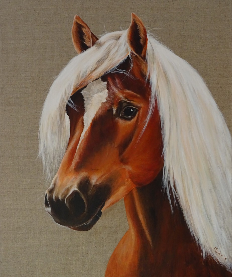 Paarden portret