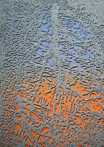 Voornamelijk maak ik hout- en linosneden. Waarbij in meerdere drukgangen ook kleur wordt toegevoegd. Soms weinig, soms meer. Af en toe maak ik etsen, droge naald-drukken of polyester-litho's. Ook in mijn grafisch werk gebruik ik geregeld texturen.