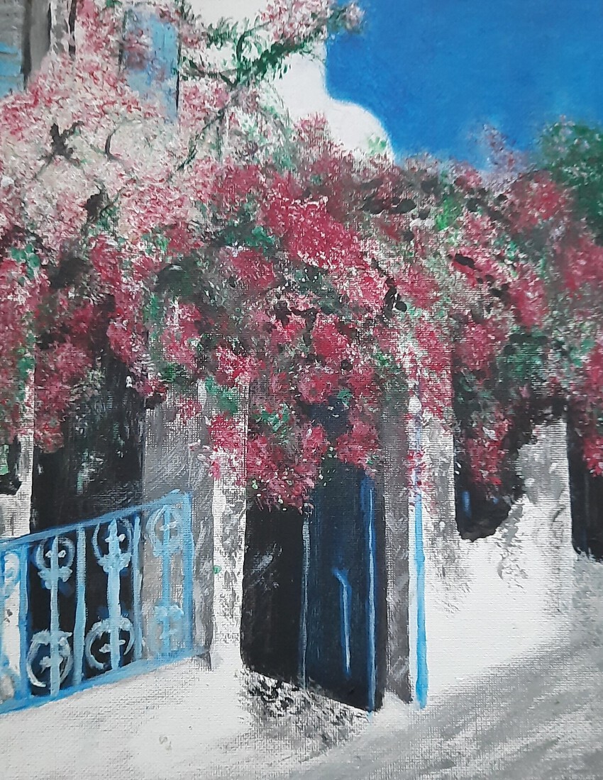 Huis met bougainville