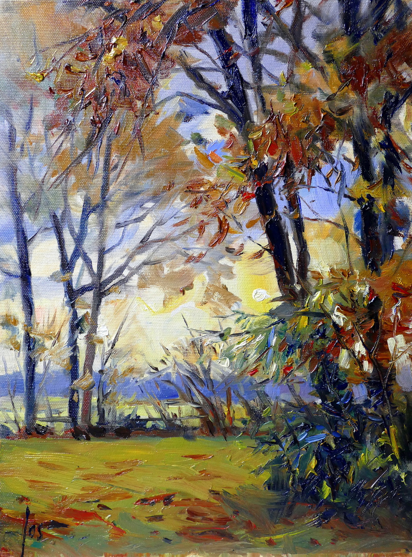 zicht op velden vanuit tuin