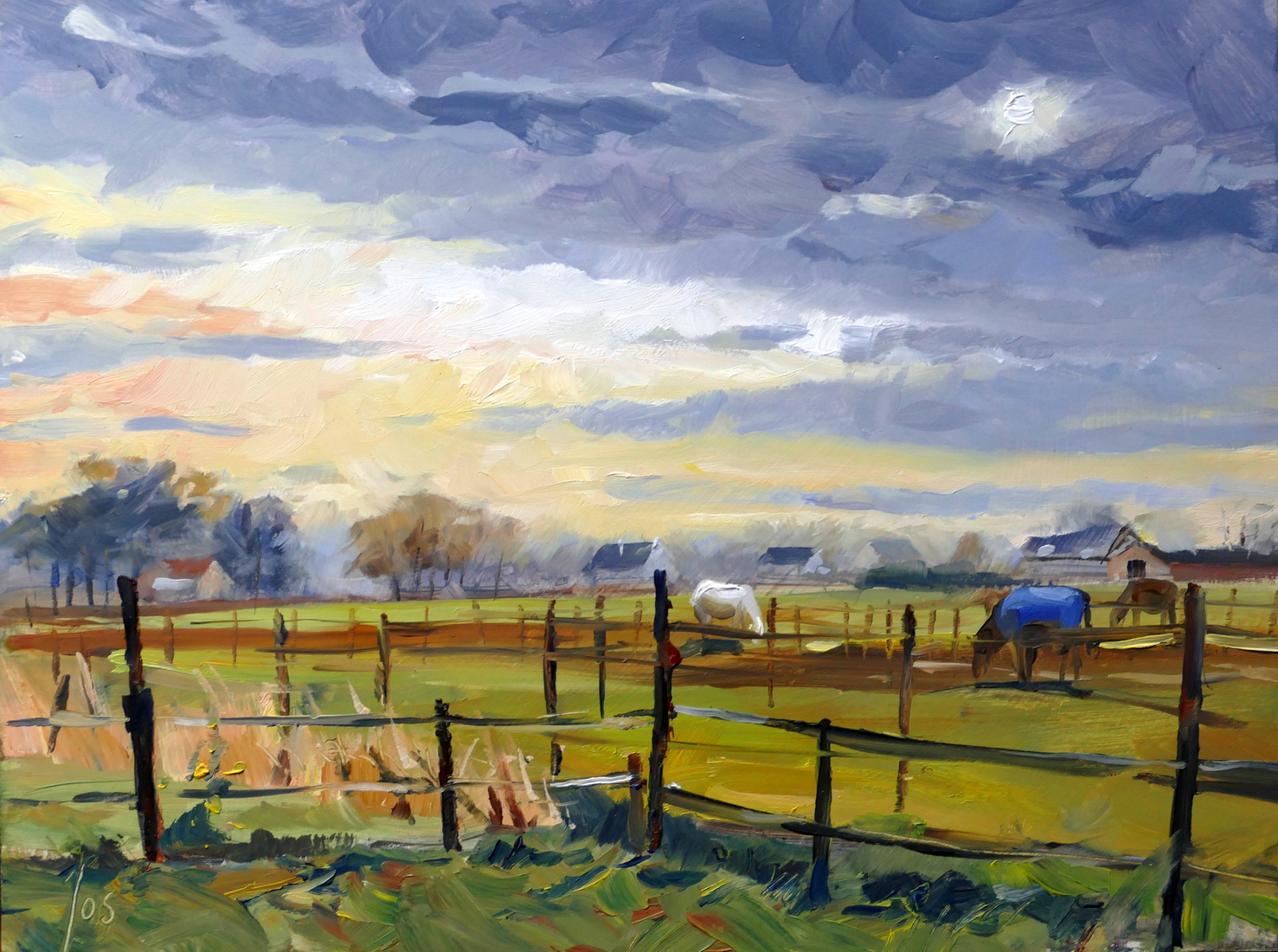 zicht op velden nabij Prinsenbeek