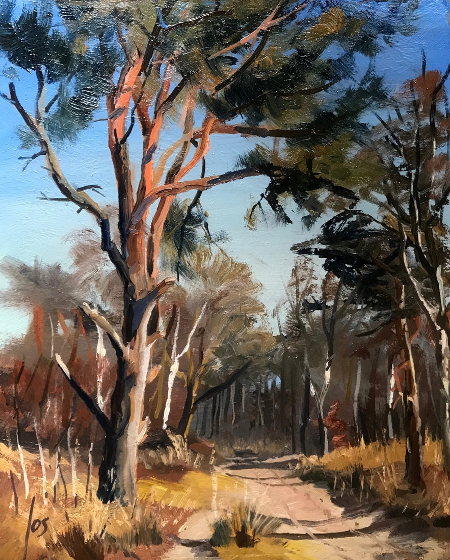 heidelandschap Rucphense Heide