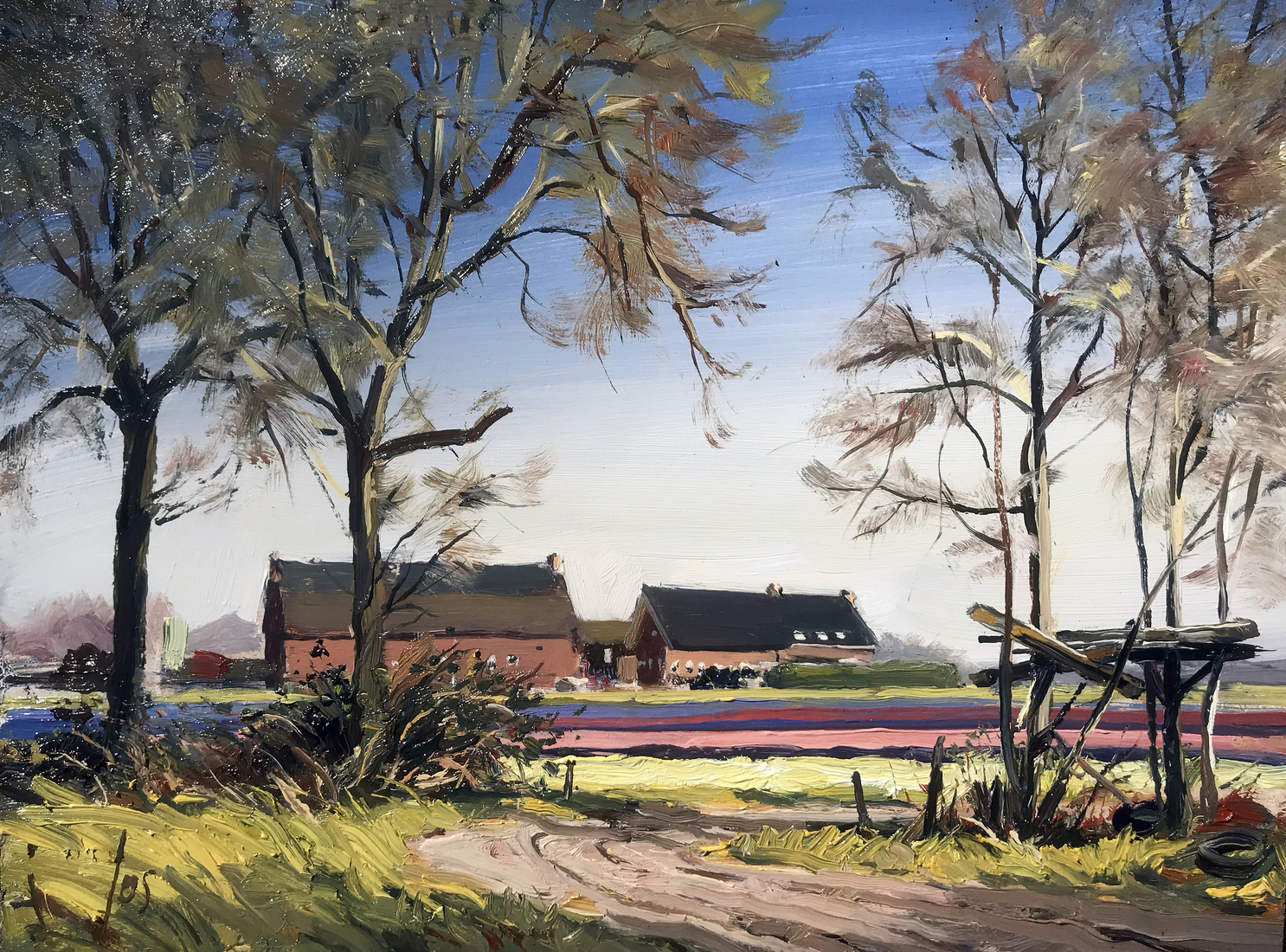 bloembollen aan de Krampenloop Roosendaal