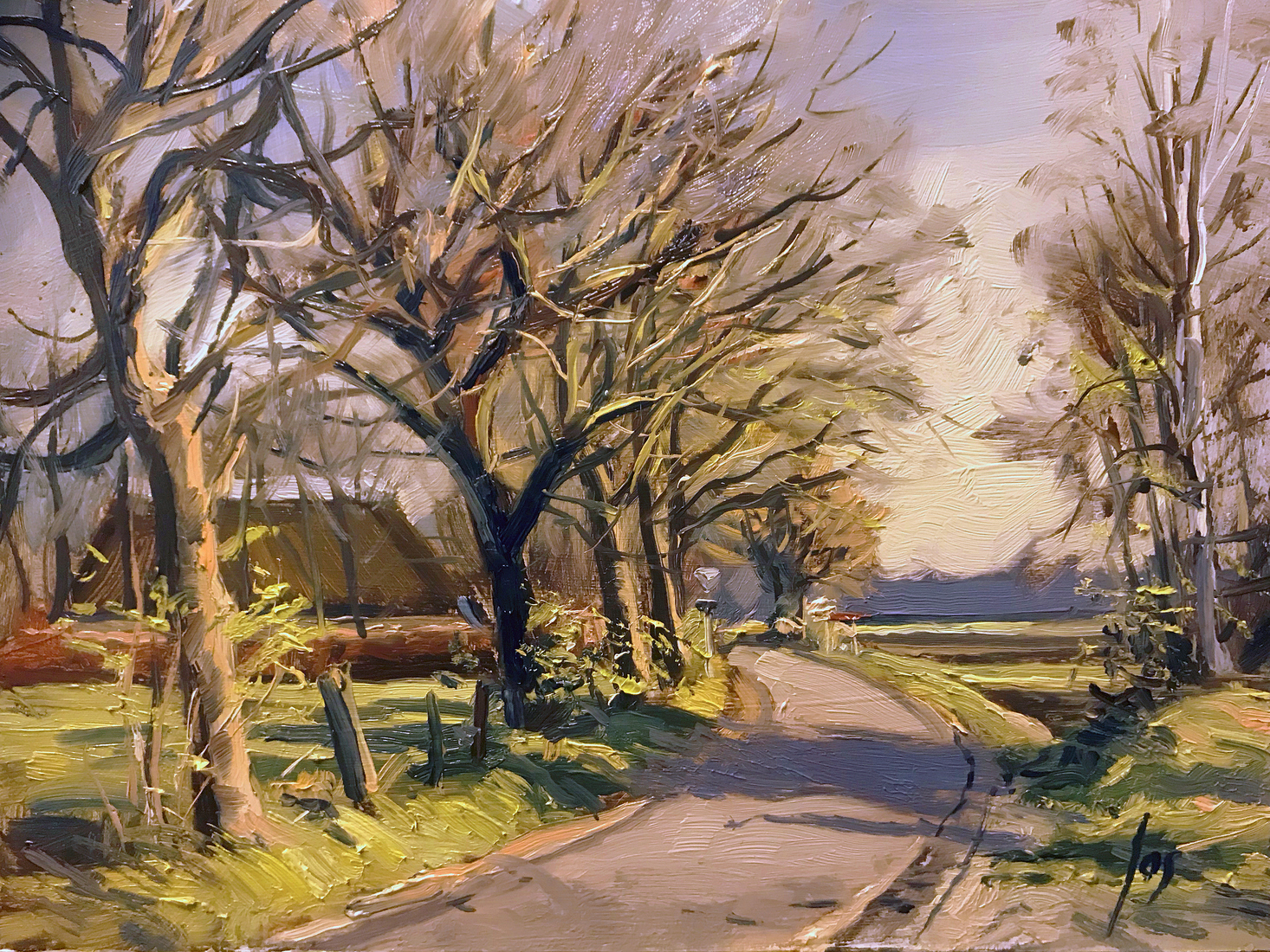 avondlicht aan de Langendijksestraat