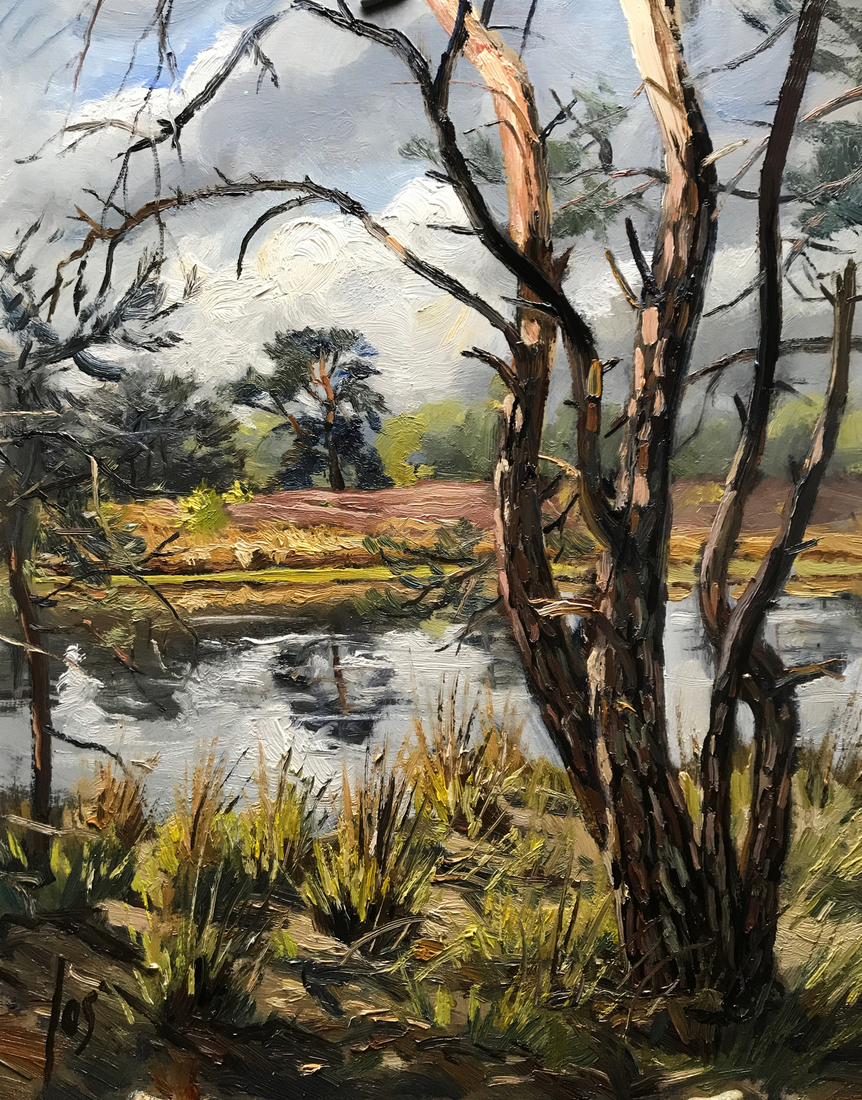 ven bij Buisse Heide