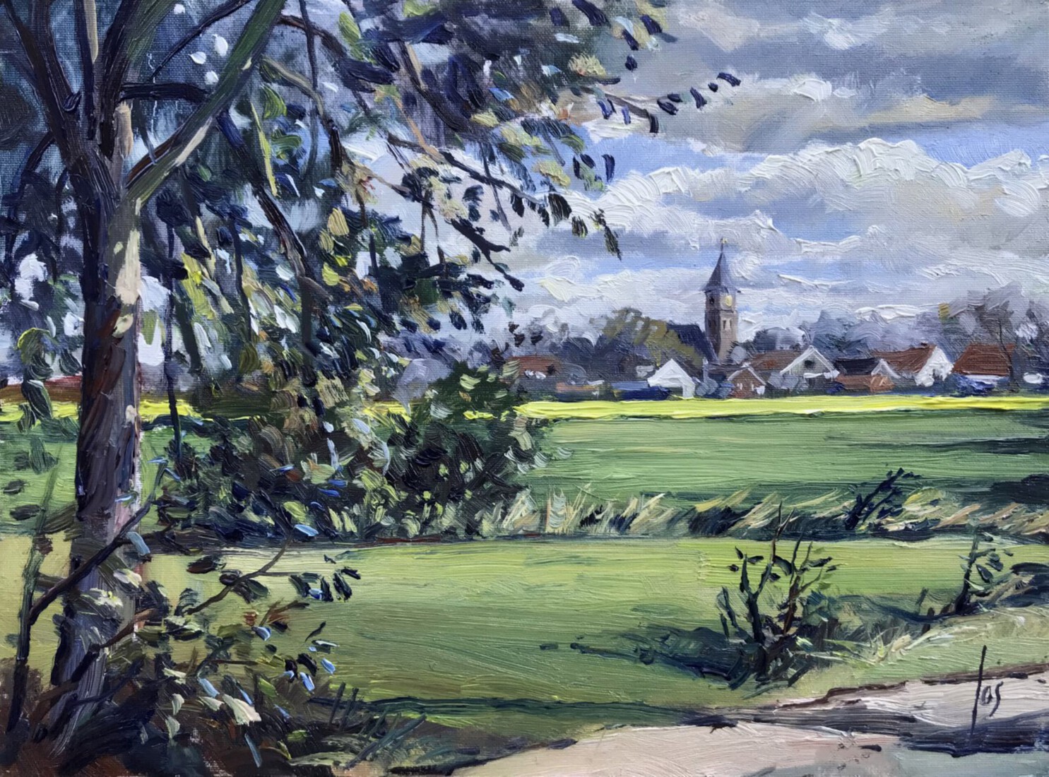 Koolzaad op voorgrond bij zicht op Rucphen