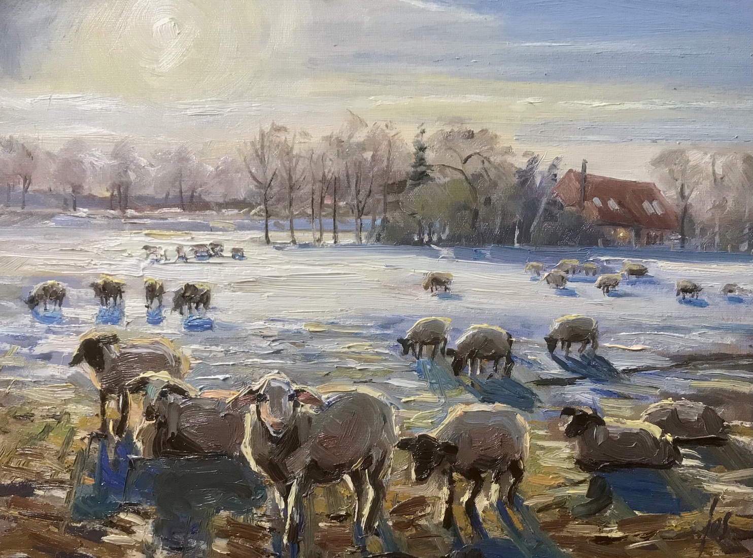 schapen in de sneeuw