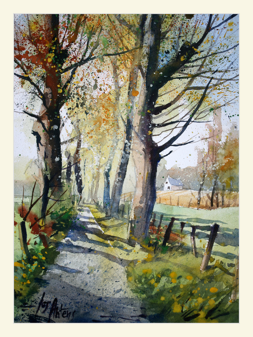 nabij Abdij Herkenrode (B)