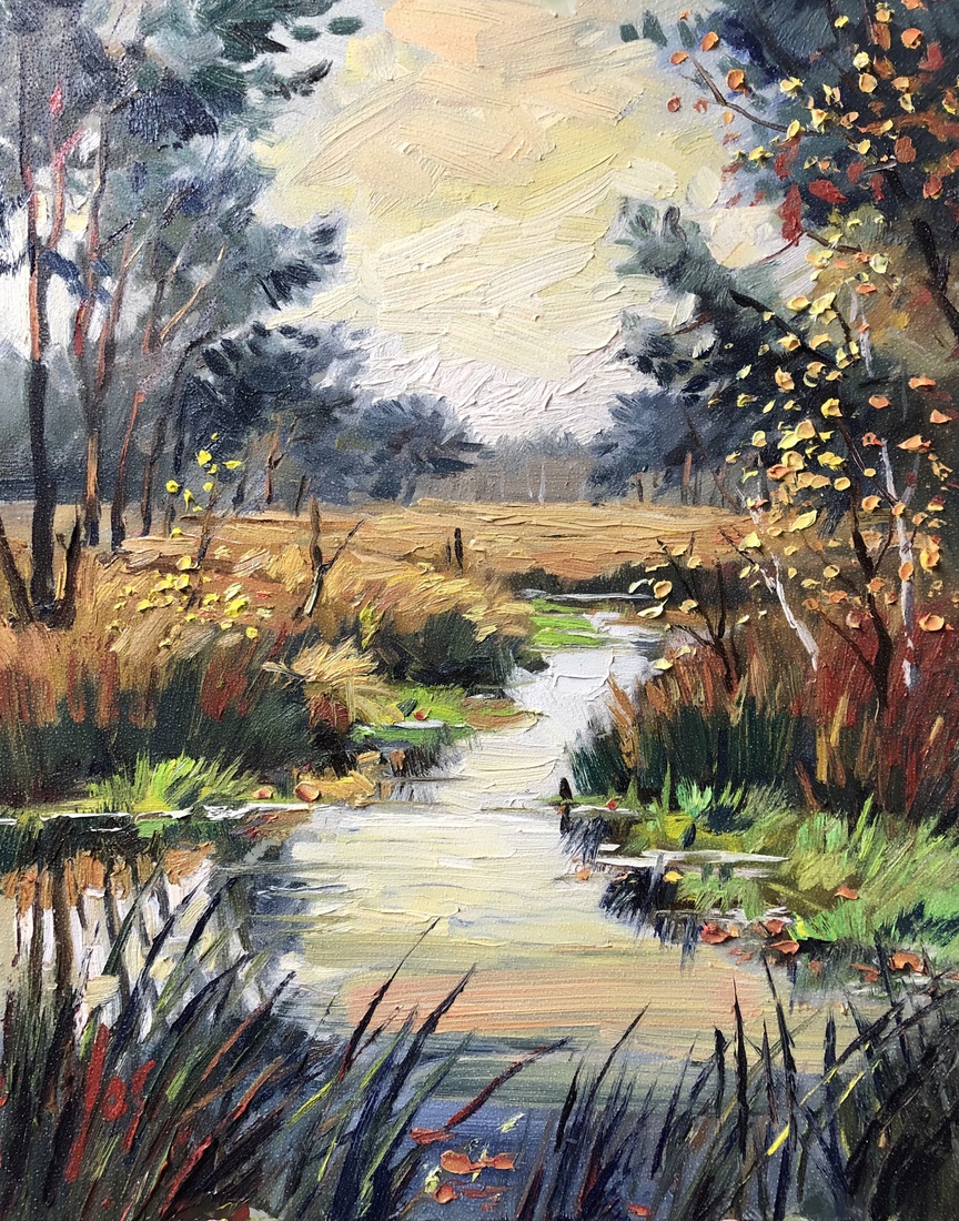 Ven in 80 bunder voorbij Schijf