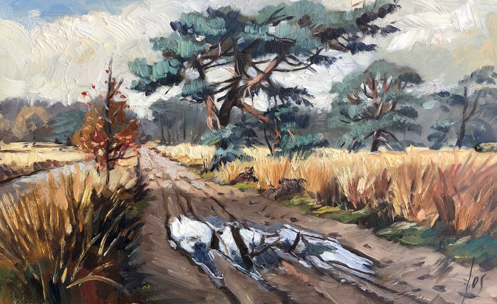 plassen op de Rucphense Heide