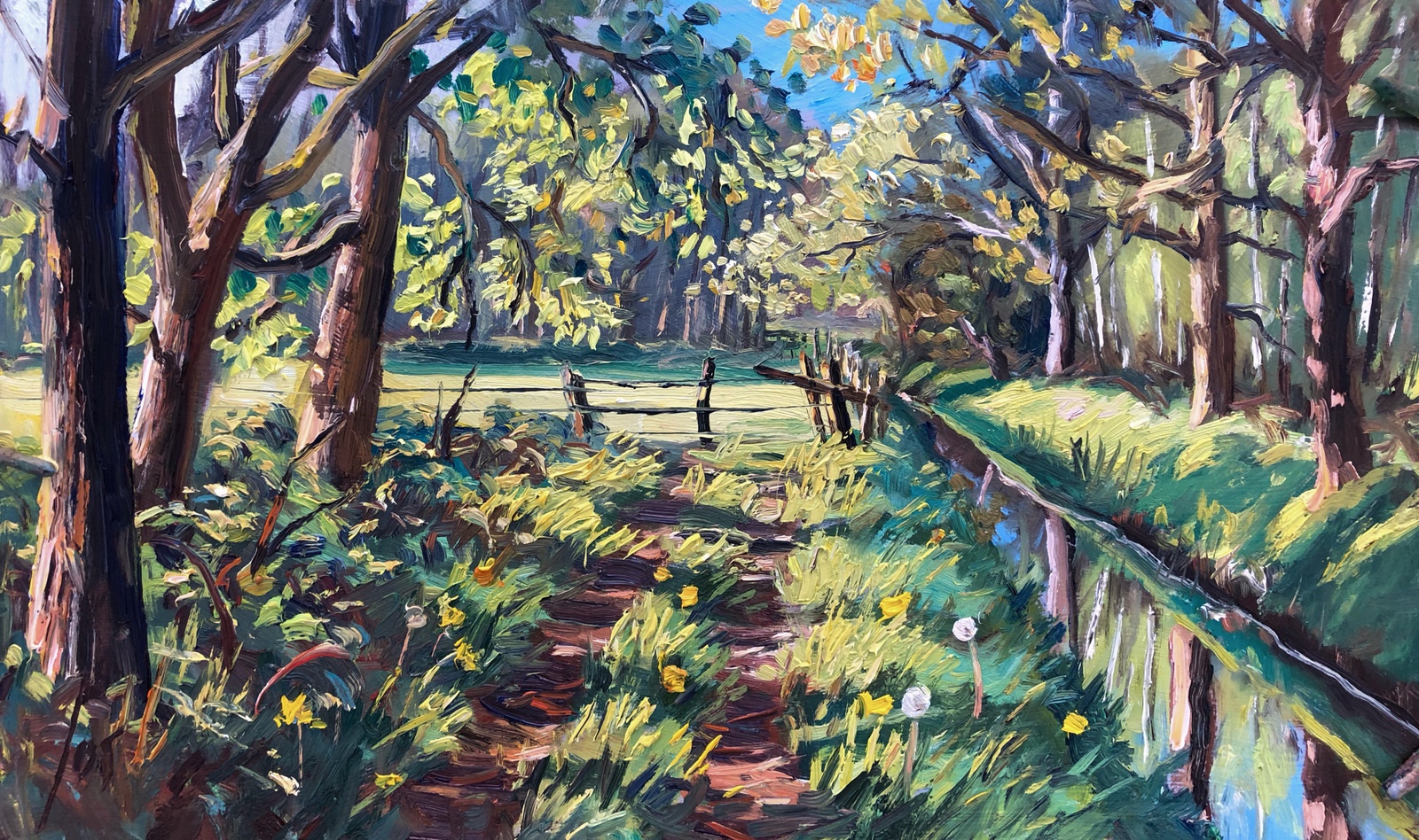 avondlicht in de Pannenhoef