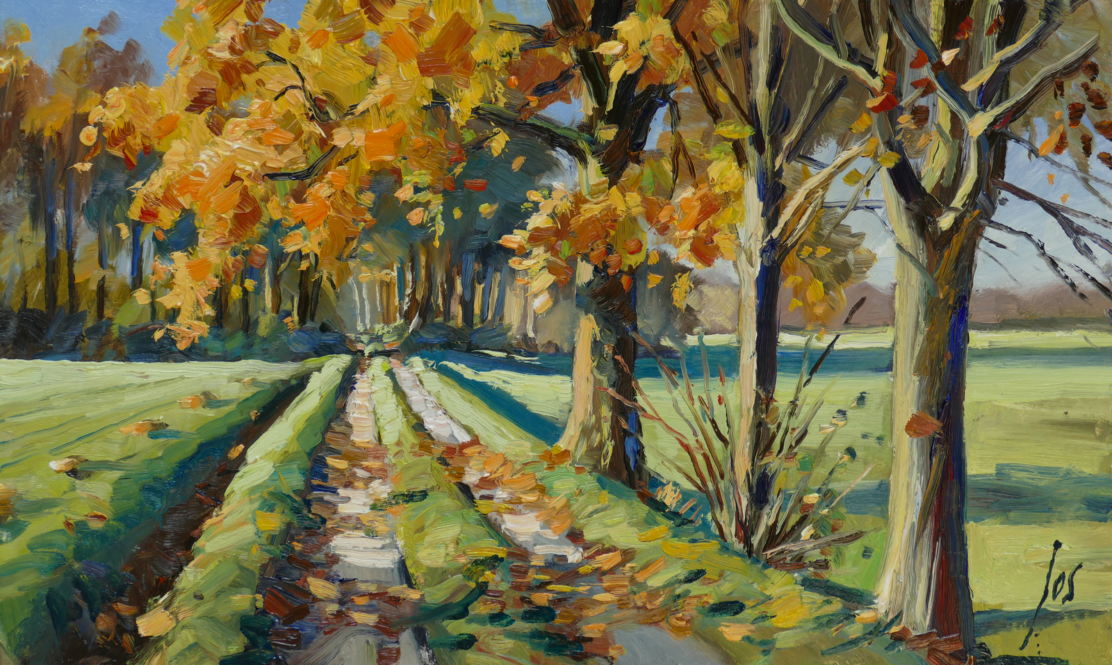 Herfst in het Heistraatje nabij Zegge