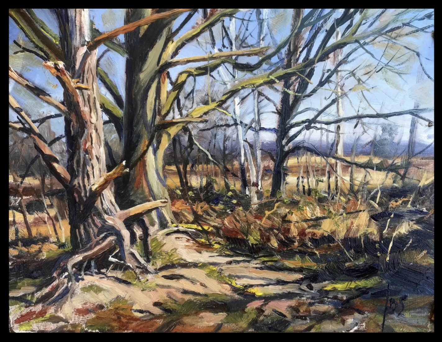 Bij de voormalig handgranaatbaan