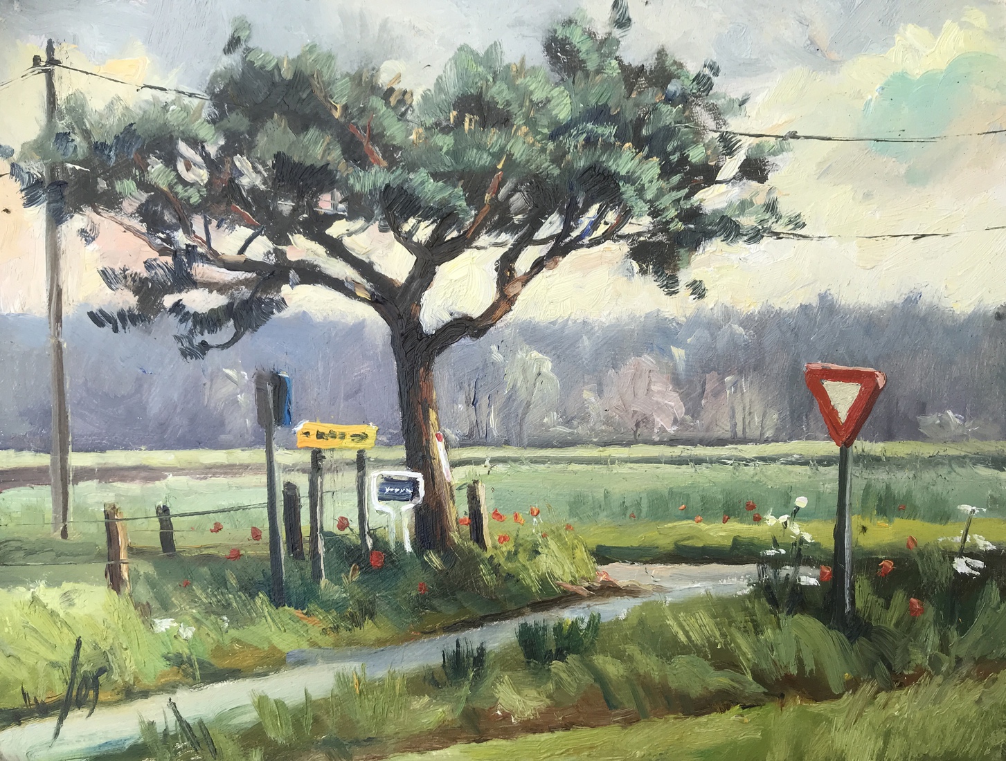 Boom nabij Horendonk