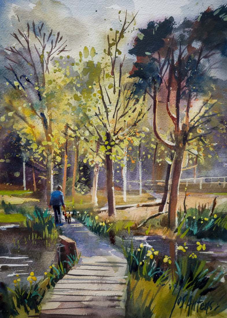 Rozenven in waterverf