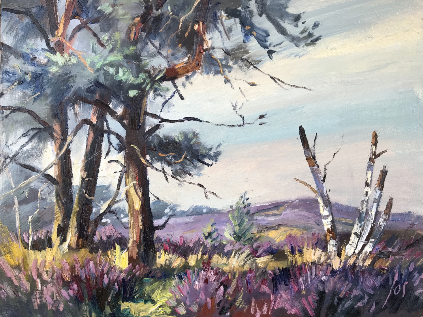 Kalmthoutse Heide in olieverf