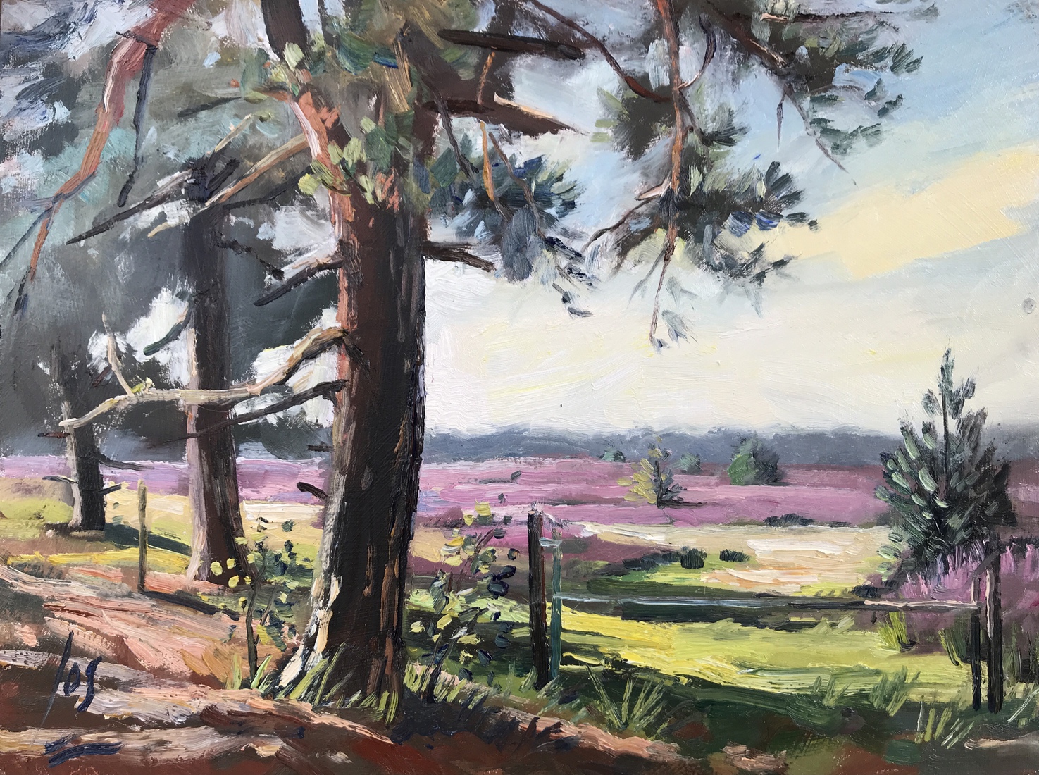 Kalmthoutse Heide in olieverf