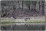 Tijdens de lock down is er niet veel open. Je kan natuurlijk altijd het bos in en daar in de serene rust vastleggen wat er groeit en bloeit.