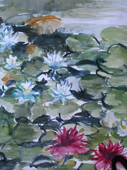 Water lilies