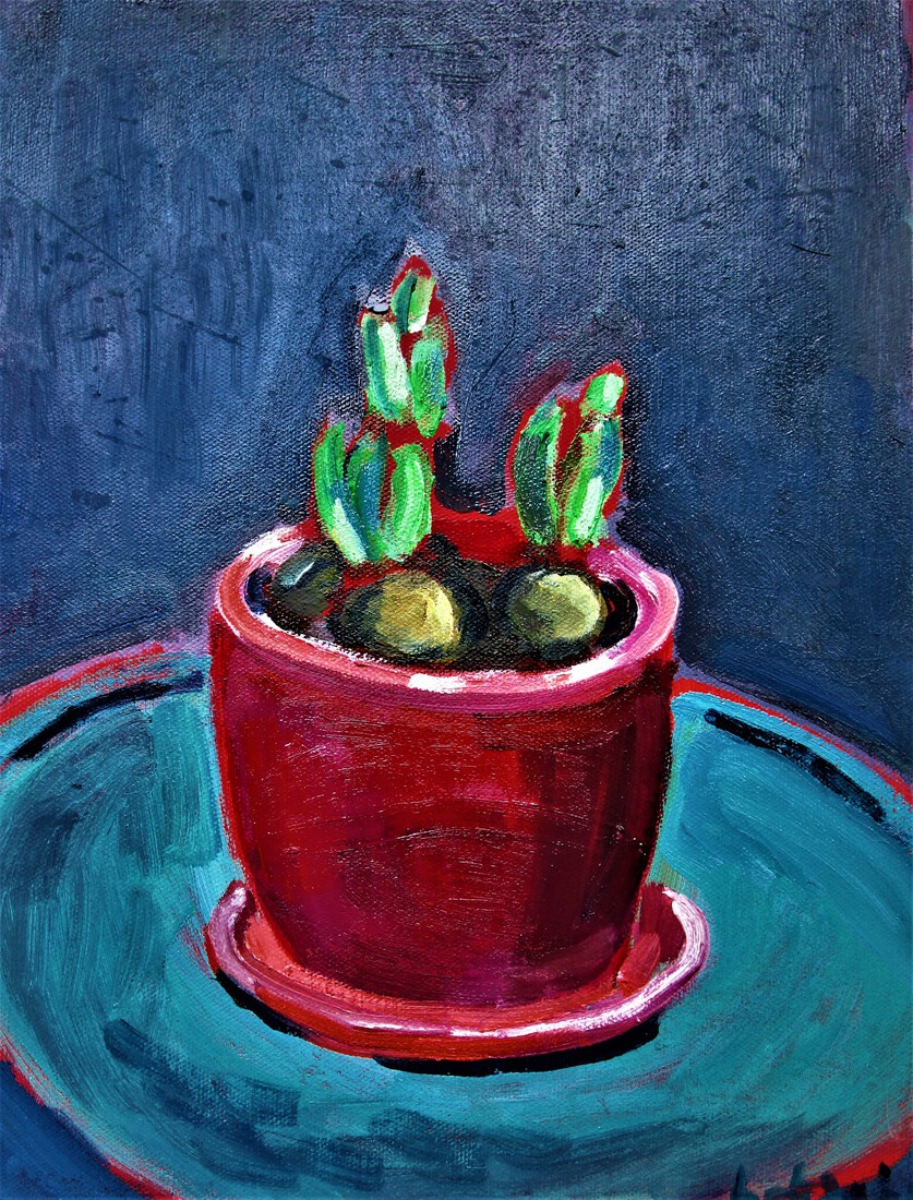 Potje met opkomende hyacintenbollen