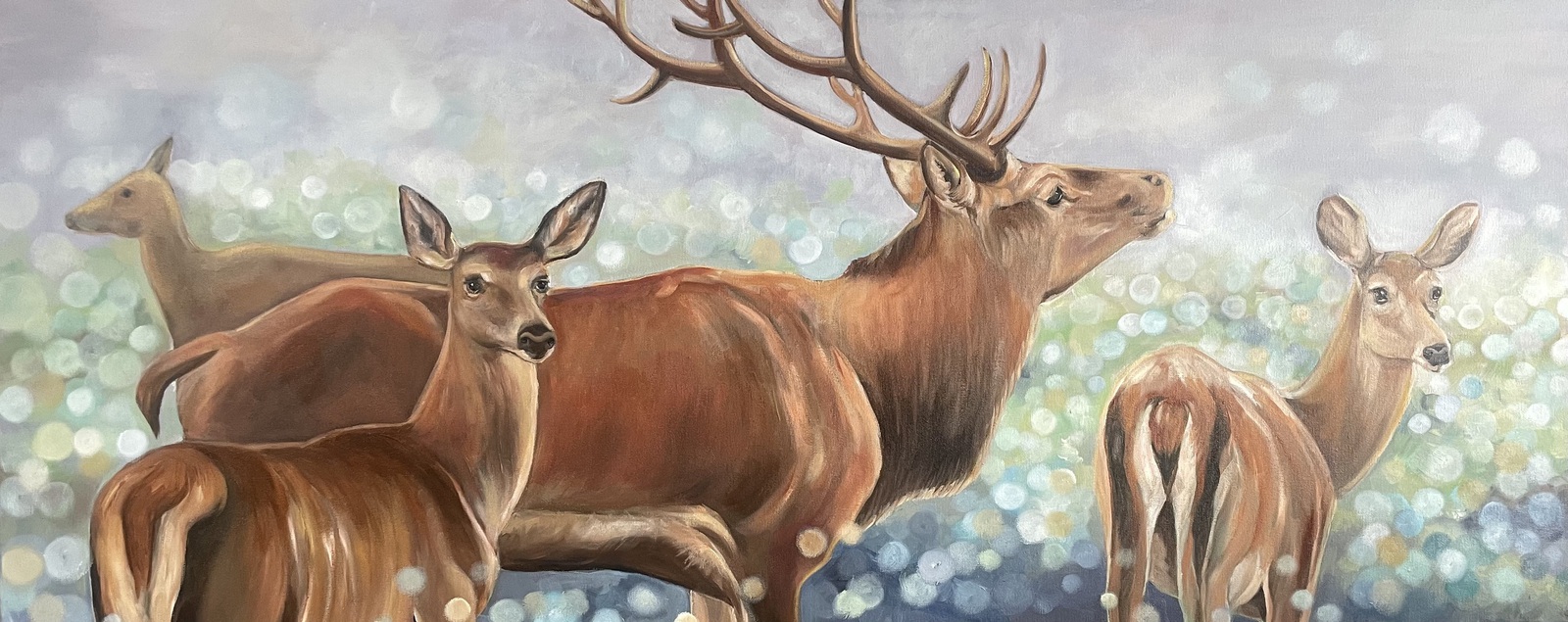 Dreaming of deer