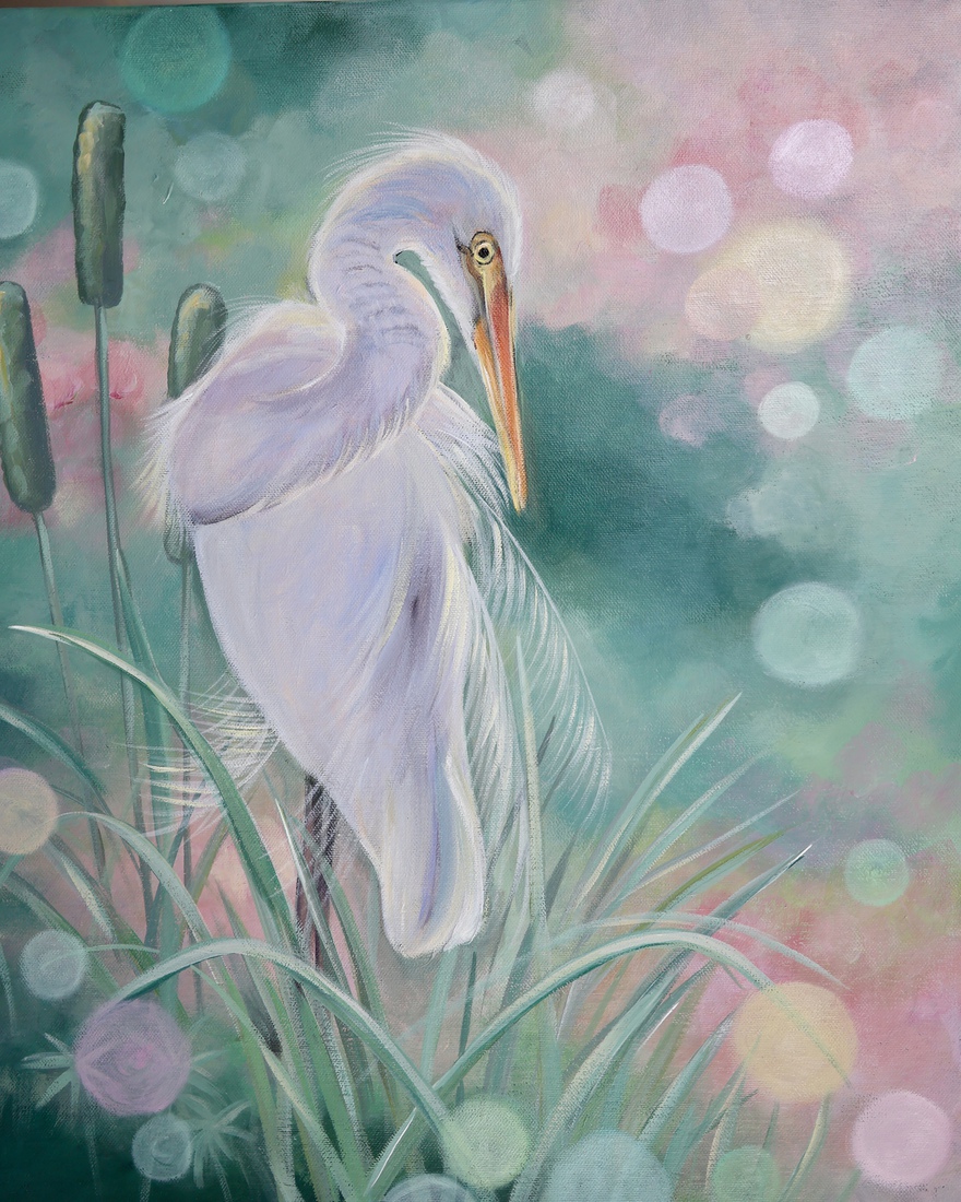 Zilverreiger